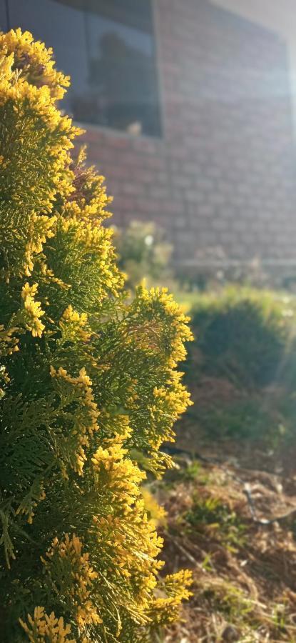 Maychu'S Albergue Chincheros  Dış mekan fotoğraf